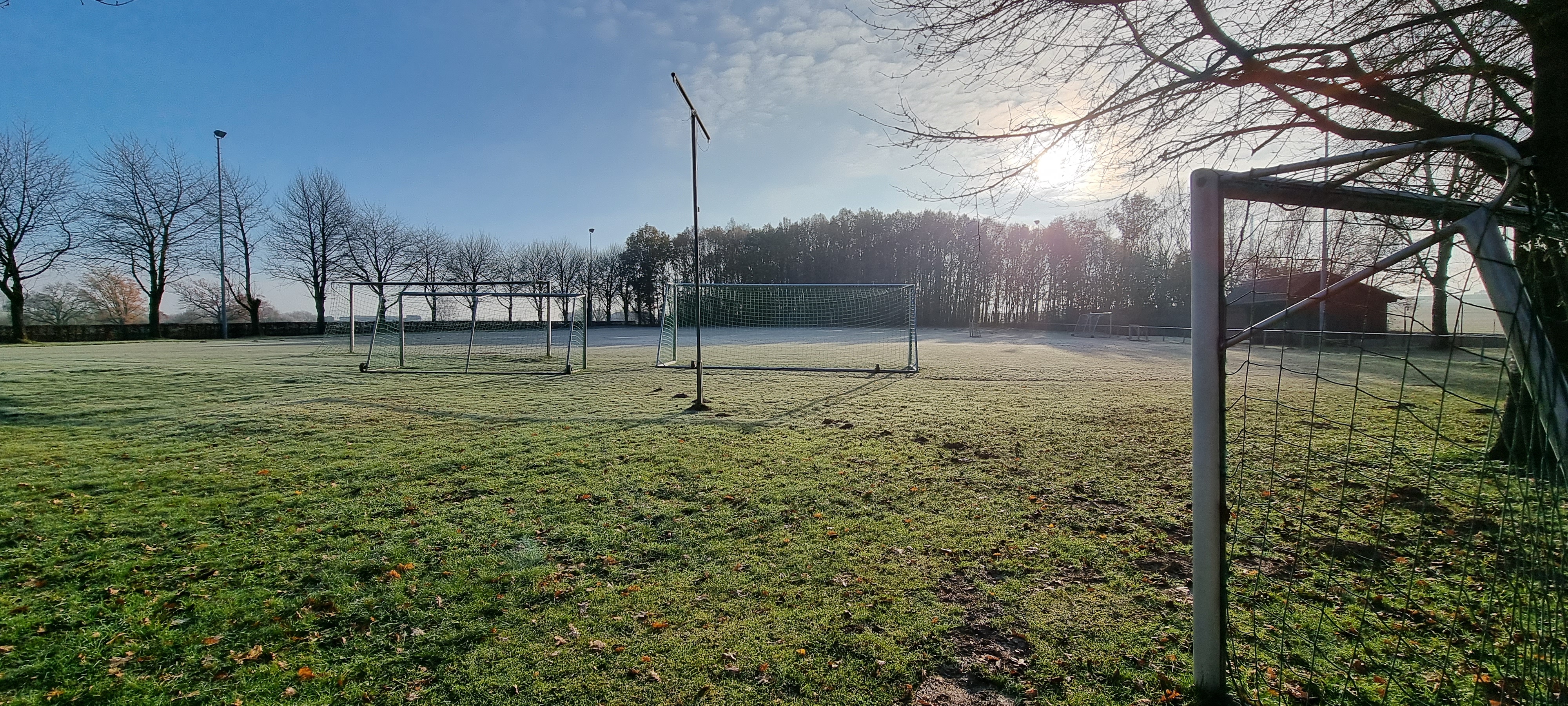 Das Bild zeigt einen Rasenplatz mit Tor und Flutlichtanlage.