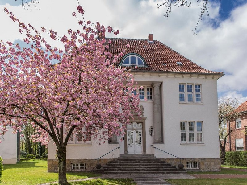 Man sieht einen Baum mit rosa Blüten, hinter dem ein weißes Gebäude mit siebenstufiger Treppe zu einem Doppel-Schwingtür-Eingang.