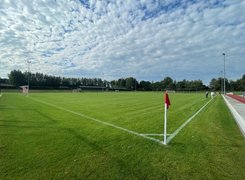 Das Bild zeigt einen grünen Naturrasenplatz. Im Vordergrund ist eine Fahne zu sehen, die den Eckpunkt des Spielfeldes markiert. Im Hintergrund sieht man Bäume, ein Tor und eine Flutlichtanlage. Am Rechten Rand ist eine Laufbahn zu erkennen.