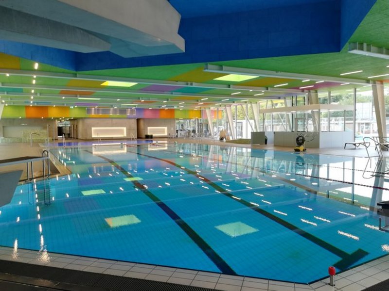 Das Bild zeigt ein Schwimmbecken in einem modernen, bunt gestaltetem Hallenbad.