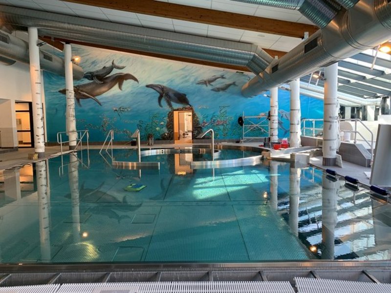 Das Bild zeigt ein Schwimmbecken in einem Hallenbad, im Hintergrund ist ein Wandgemälde von einer Unterwasserwelt mit Tieren und Pflanzen zu sehen