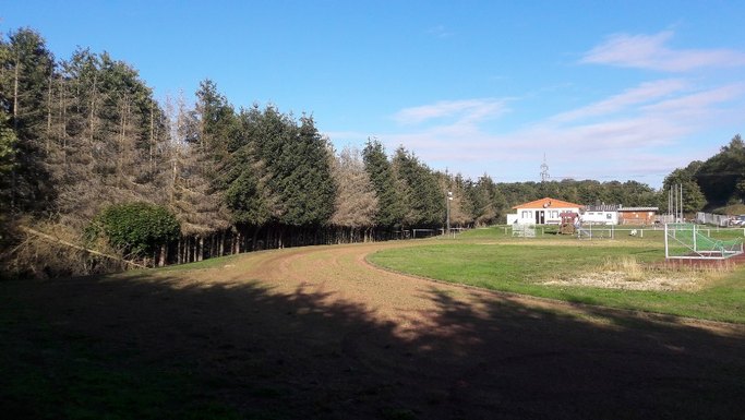 Das Bild zeigt eine Rasensportfläche mit umliegender Erdlaufbahn.