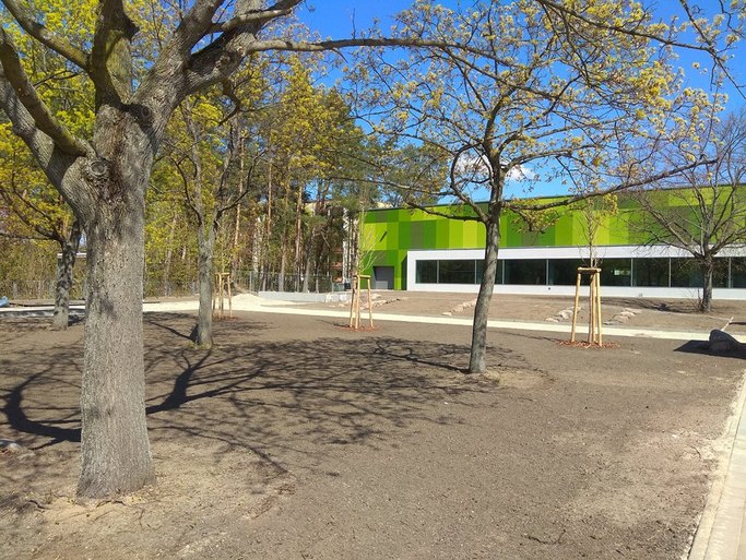 Das Bild zeigt Erdfläche mit mehreren Bäumen, im Hintergrund ist ein vorrangig grünes, modernes Gebäude zu sehen.