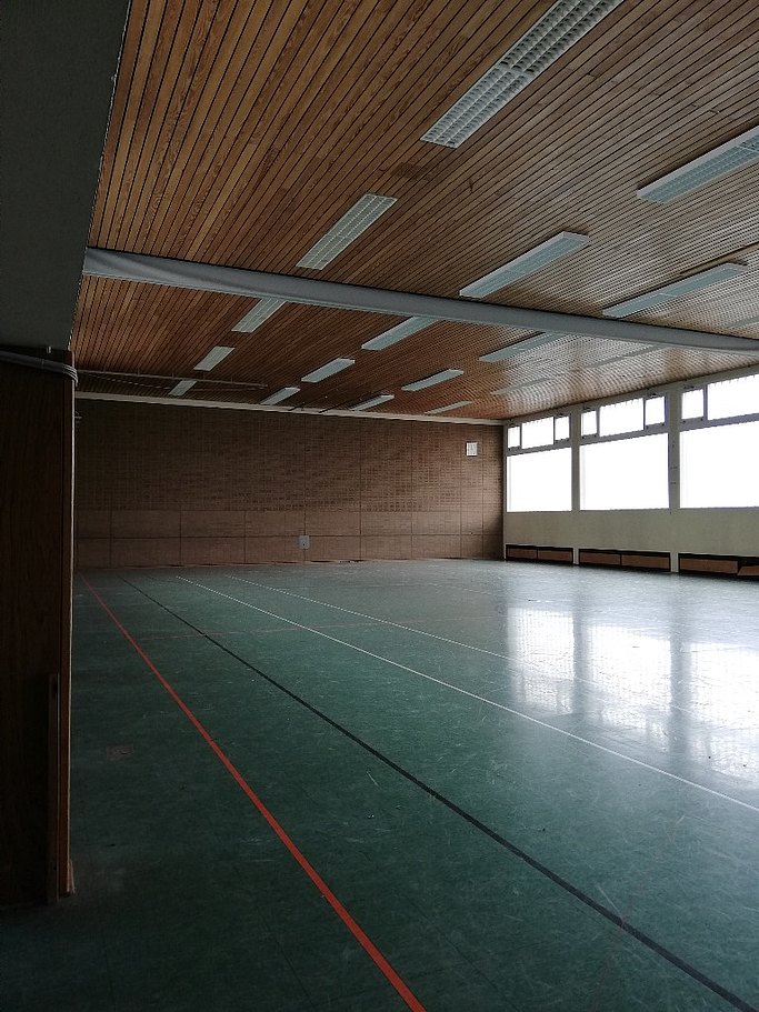 Man sieht eine Sporthalle von innen. Mehrere Markierungen bedecken den grünen Boden.