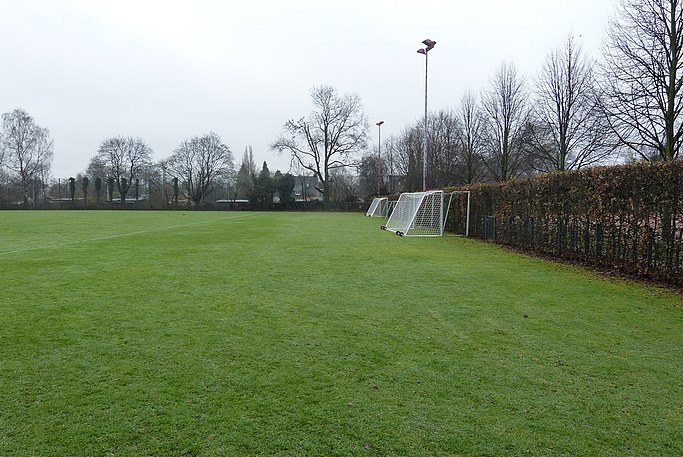 Das Bild zeigt den Naturrasenplatz vor der Sanierung. Auf der rechten Seite befindet sich eine Hecke und mehrere Fußballtore.