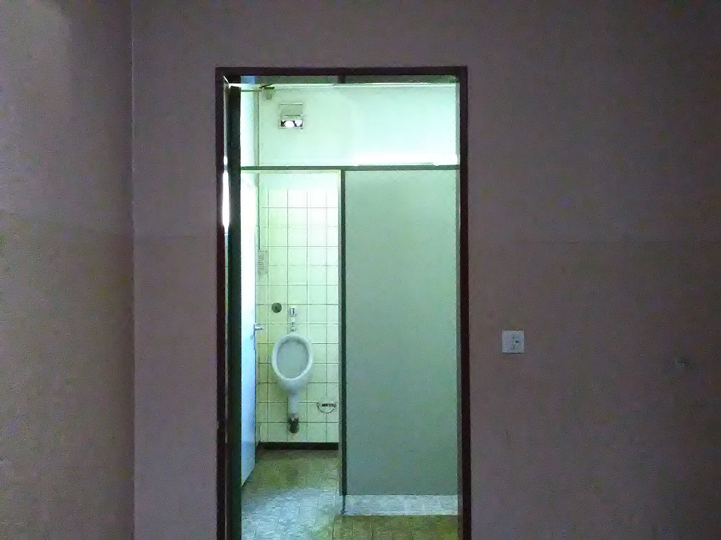 Man sieht eine offene Eingangstür, die zu einer Toilette mit Urinal führt.