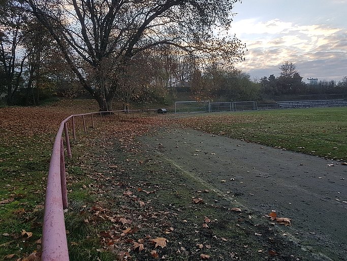 Das Bild zeigt den Sportpark vor der Sanierung. Die Laufbahn ist in die Jahre gekommen. Im Hintergrund sieht man Tore und eine Tribüne.
