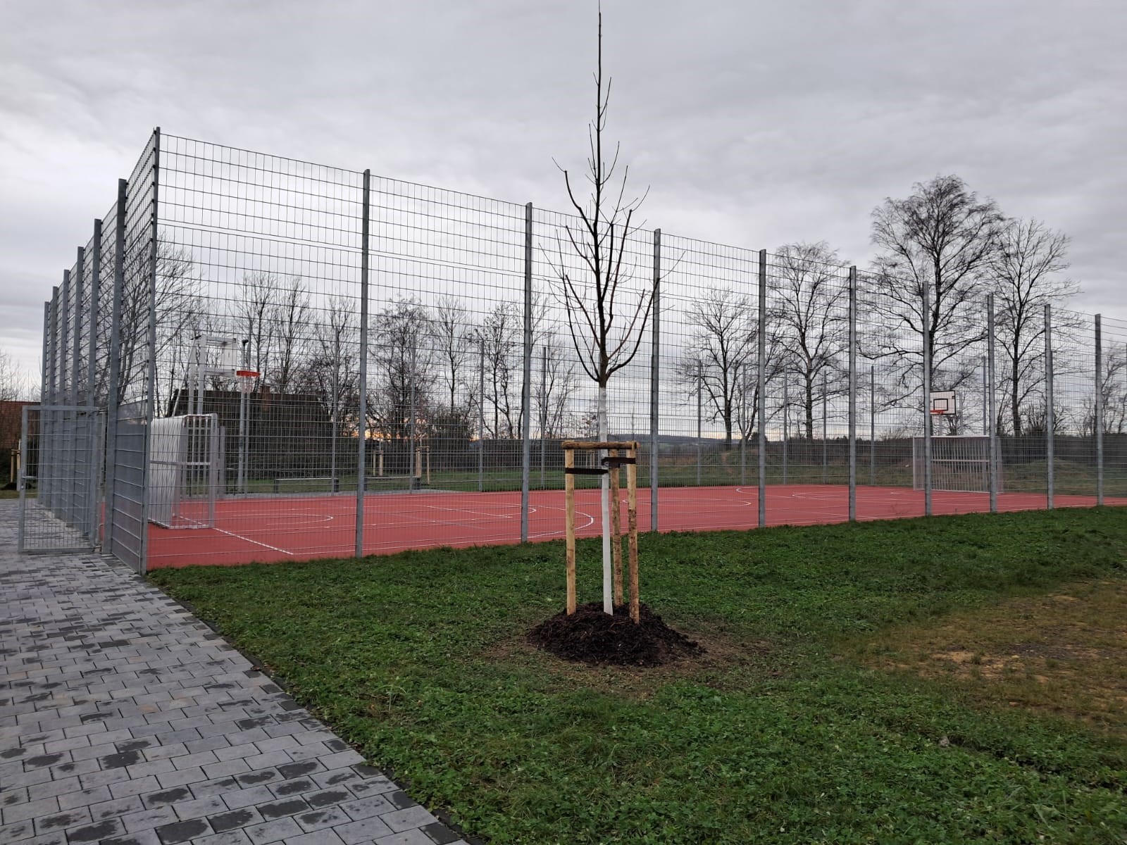 Christian Kohl, Stadt Blieskastel Das Bild zeigt ein Multifunktionsfeld von Außen. Man erkennt eine Grünfläche um das Feld herum.